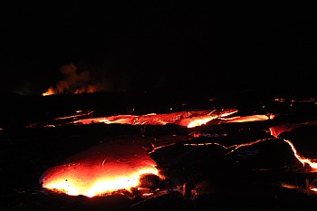 IMG_2505t.jpg